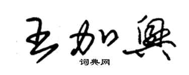 朱錫榮王加興草書個性簽名怎么寫