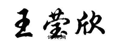 胡問遂王瑩欣行書個性簽名怎么寫