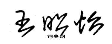 朱錫榮王昭怡草書個性簽名怎么寫