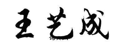 胡問遂王藝成行書個性簽名怎么寫