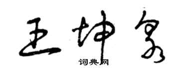 曾慶福王坤泉草書個性簽名怎么寫