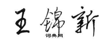 駱恆光王錦新行書個性簽名怎么寫