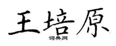 丁謙王培原楷書個性簽名怎么寫