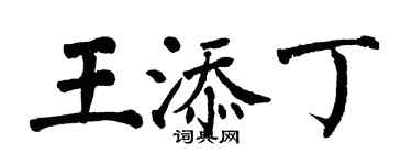 翁闓運王添丁楷書個性簽名怎么寫