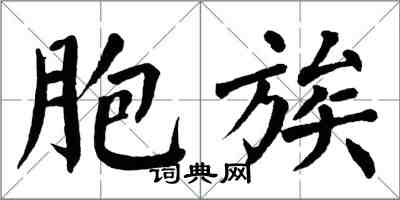 翁闓運胞族楷書怎么寫