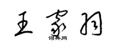梁錦英王家羽草書個性簽名怎么寫