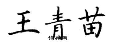 丁謙王青苗楷書個性簽名怎么寫