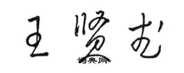 駱恆光王賢武草書個性簽名怎么寫