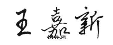 駱恆光王嘉新行書個性簽名怎么寫