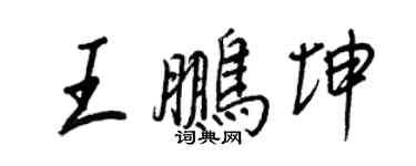 王正良王鵬坤行書個性簽名怎么寫