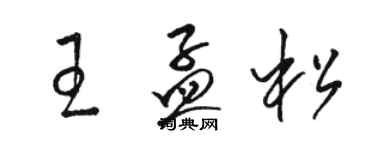 駱恆光王孟松草書個性簽名怎么寫