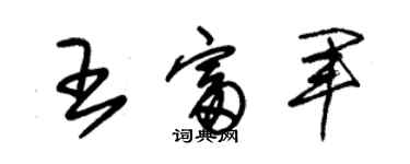 朱錫榮王富軍草書個性簽名怎么寫