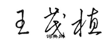 駱恆光王茂植草書個性簽名怎么寫