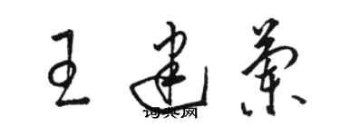 駱恆光王建蘭草書個性簽名怎么寫