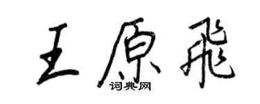 王正良王原飛行書個性簽名怎么寫