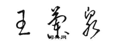 駱恆光王蘭泉草書個性簽名怎么寫