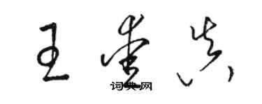 駱恆光王愛真草書個性簽名怎么寫