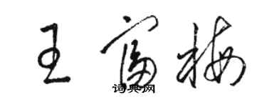 駱恆光王富梅草書個性簽名怎么寫