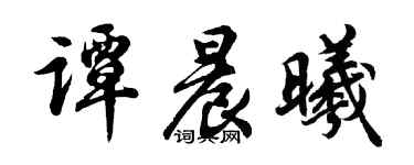 胡問遂譚晨曦行書個性簽名怎么寫