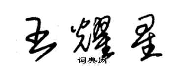 朱錫榮王耀星草書個性簽名怎么寫
