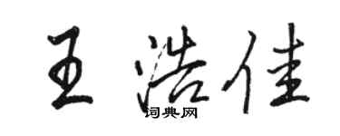 駱恆光王浩佳行書個性簽名怎么寫