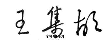 駱恆光王集胡草書個性簽名怎么寫