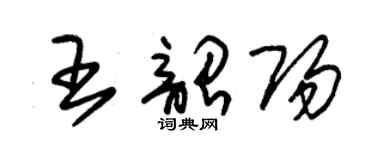 朱錫榮王韶陽草書個性簽名怎么寫