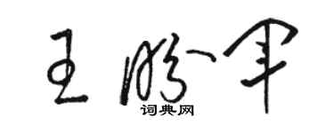 駱恆光王盼軍草書個性簽名怎么寫