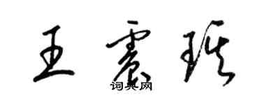 梁錦英王震琪草書個性簽名怎么寫