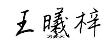 王正良王曦梓行書個性簽名怎么寫