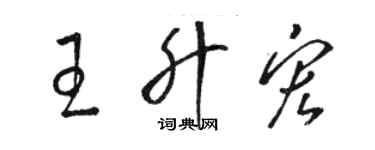 駱恆光王升宏草書個性簽名怎么寫