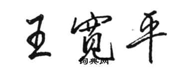 駱恆光王寬平行書個性簽名怎么寫