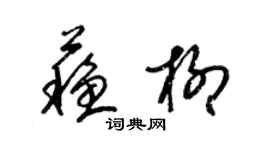 梁錦英蘇柳草書個性簽名怎么寫