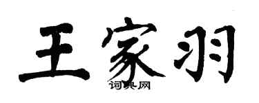 翁闓運王家羽楷書個性簽名怎么寫