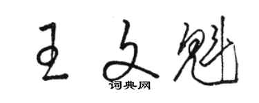 駱恆光王文魁草書個性簽名怎么寫