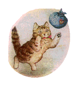 小貓毛毛的故事