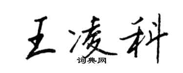 王正良王凌科行書個性簽名怎么寫