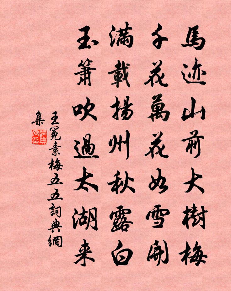 王冕素梅 五五書法作品欣賞