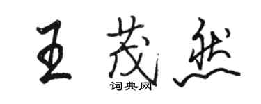 駱恆光王茂然行書個性簽名怎么寫