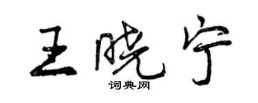 曾慶福王曉寧行書個性簽名怎么寫