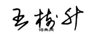 朱錫榮王樹升草書個性簽名怎么寫