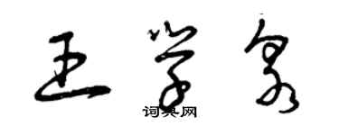 曾慶福王學泉草書個性簽名怎么寫