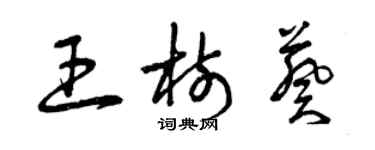 曾慶福王樹葵草書個性簽名怎么寫