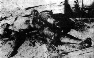 1971年9月13日林彪叛國出逃，墜機身亡。_歷史上的今天