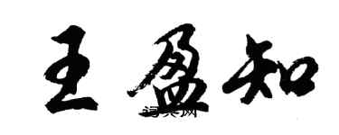 胡問遂王盈知行書個性簽名怎么寫