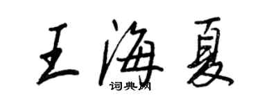 王正良王海夏行書個性簽名怎么寫