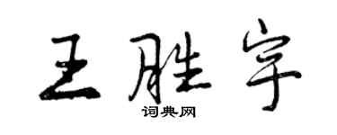 曾慶福王勝宇行書個性簽名怎么寫