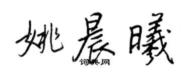 王正良姚晨曦行書個性簽名怎么寫