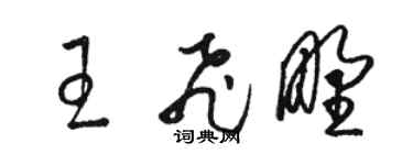 駱恆光王飛野草書個性簽名怎么寫