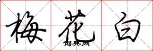 荊霄鵬梅花白行書怎么寫
